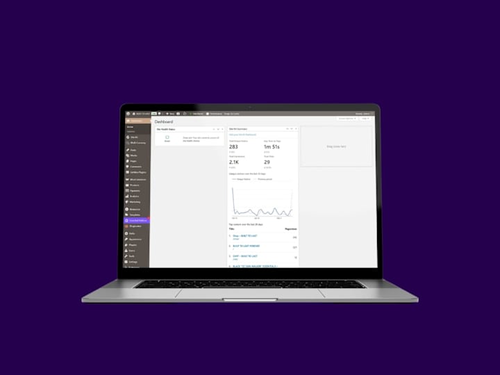 Cover image for WordPress Troubleshooting & Bug Fixes