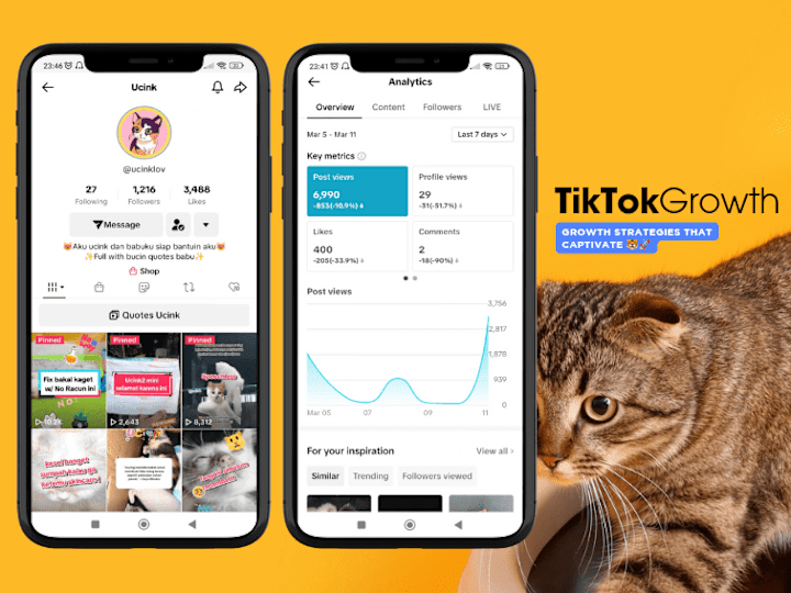 Cover image for TikTok Growth Strategy