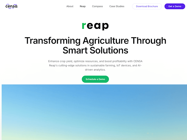 Cover image for Censa Reap - web design and development 