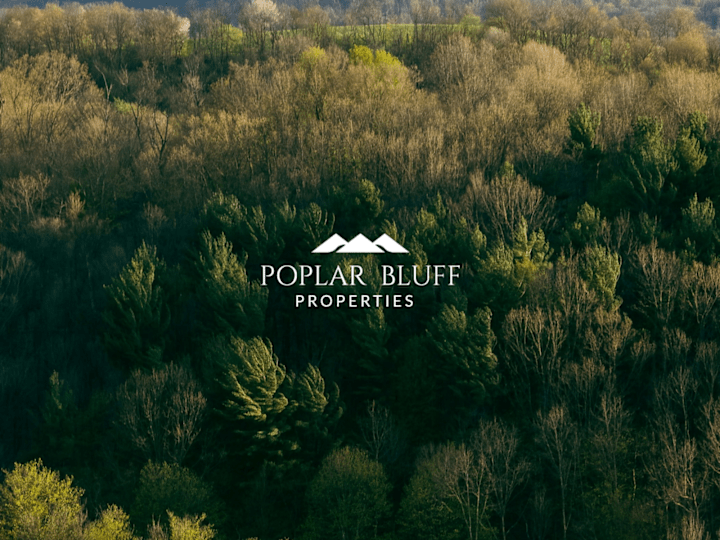 Cover image for Brand & Website Design : Poplar Bluff Properties