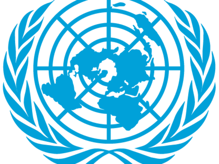 Cover image for National Intern at the United Nations Association of Australia