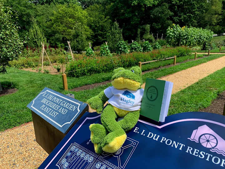 Cover image for Franklin the Frog Facebook Series