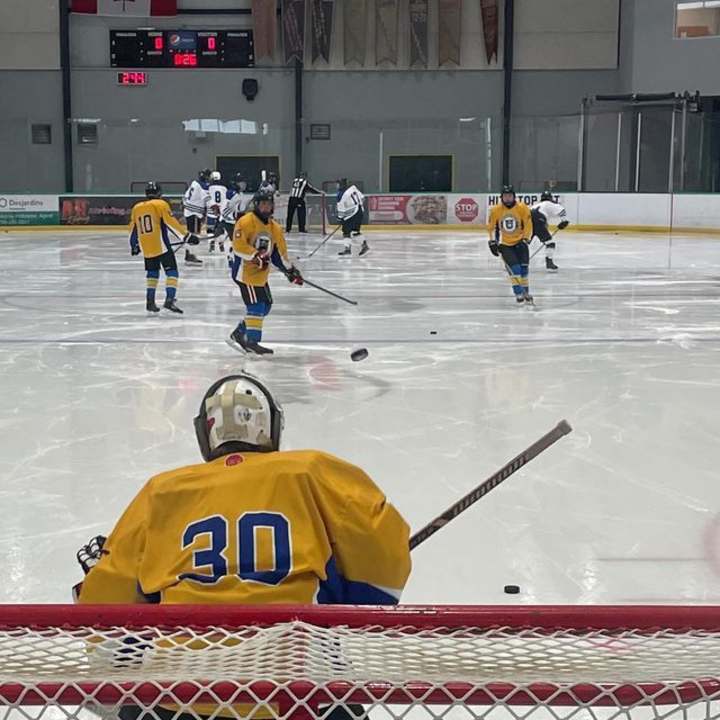 Cover image for Lakehead Men & Women Hockey Tournament