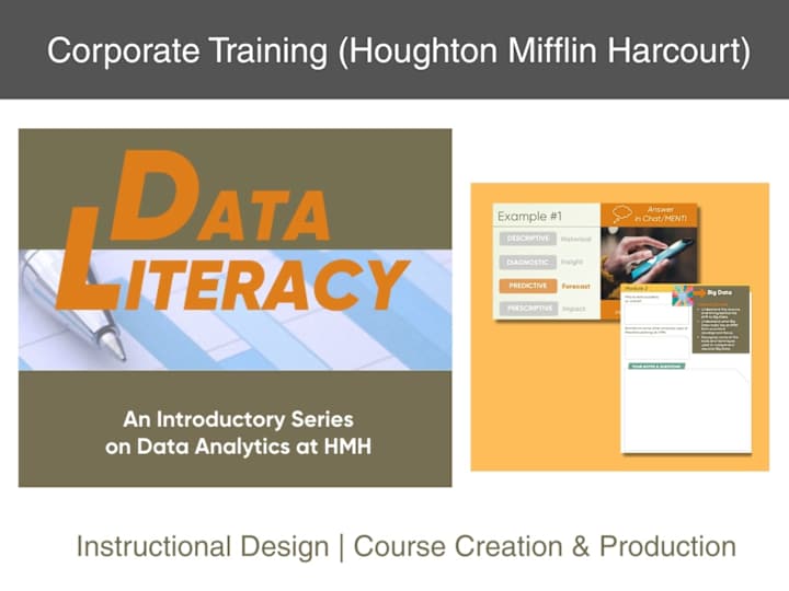Cover image for Data Literacy Course Development