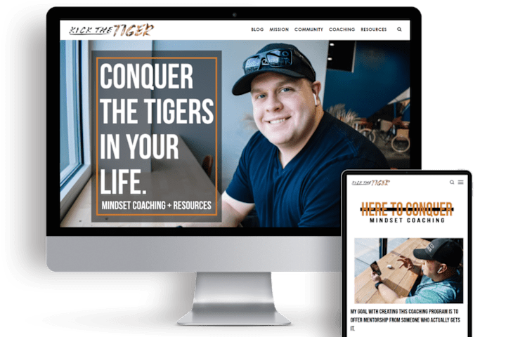Cover image for Kick The Tiger