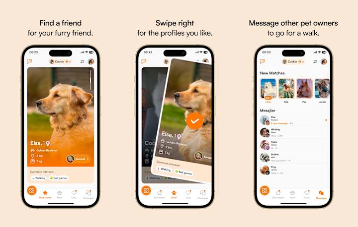 Cover image for Complete UI/UX Design: Connecting Dogs and Their Owners