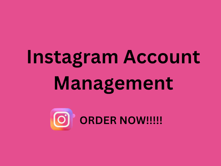 Cover image for Instagram account management