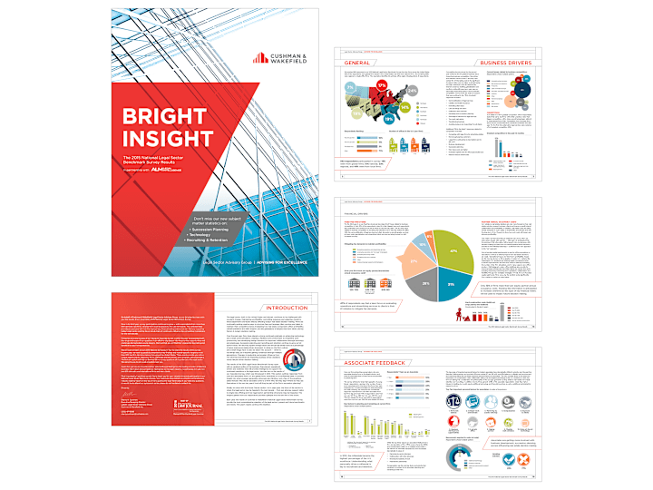 Cover image for A Bright Insight Into Real Estate Data