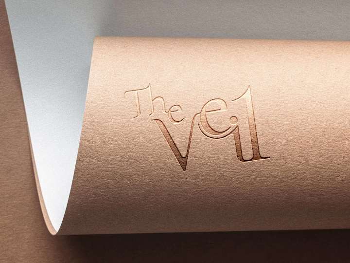 Cover image for The Veil