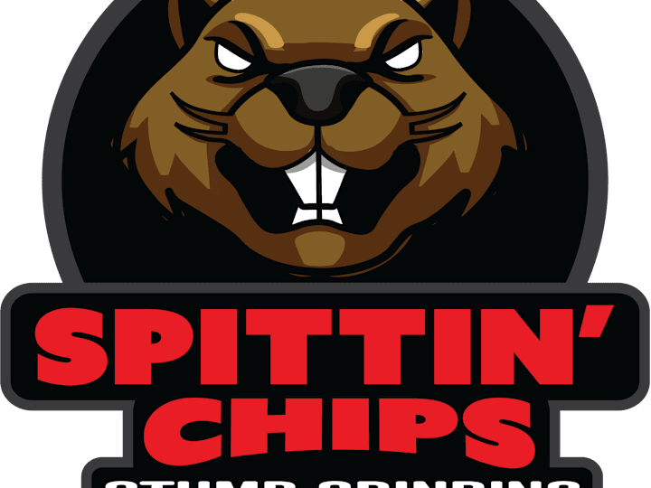 Cover image for Corporate Logo Redesign