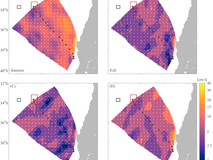 Cover image for Oceanographic Processes Analysis for Operational Purposes