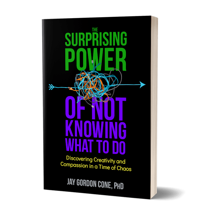 Cover image for Book Cover: The Surprising Power of Not Knowing What to Do