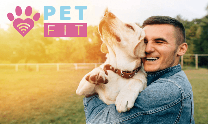 Cover image for Pet Fit - Visual Identity 