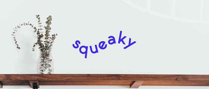 Cover image for squeaky - For your peace of mind! on Behance