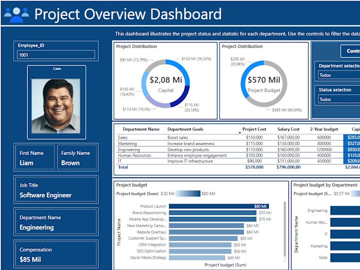 Cover image for Project Overview Dashboard