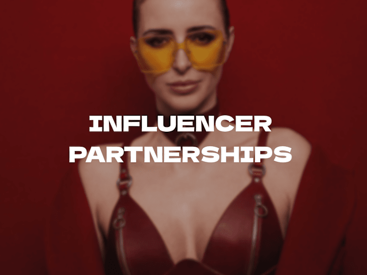 Cover image for Influencer Partnership Programs