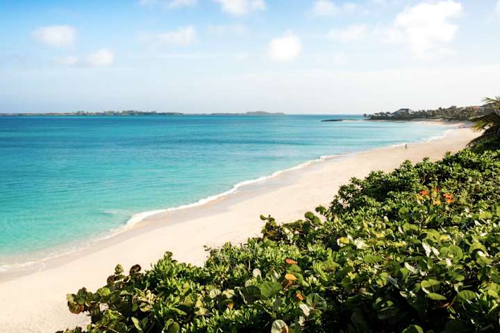 Cover image for Kahlua: A Braider, A Beach and A Ban —