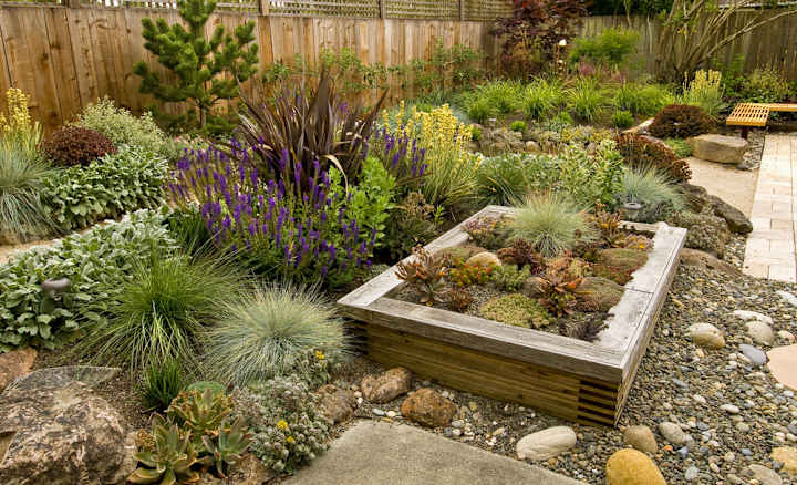 Cover image for Choosing the Best Drought-Resistant Perennials for Las Vegas Ya…