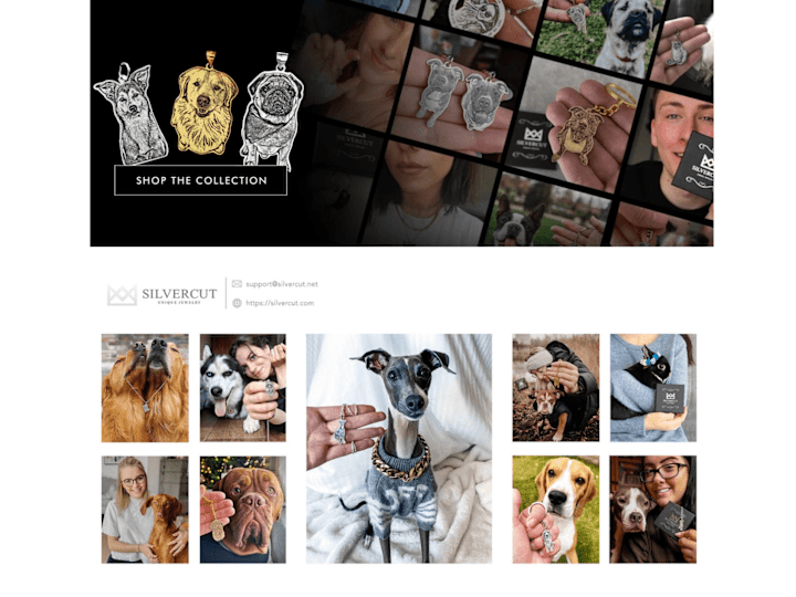 Cover image for Influencer Marketing - Silvercut Jewellry