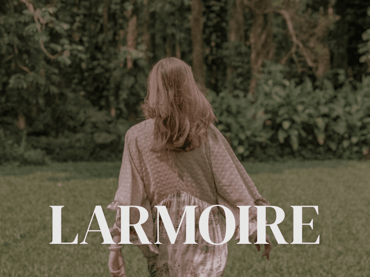 Cover image for LARMOIRE