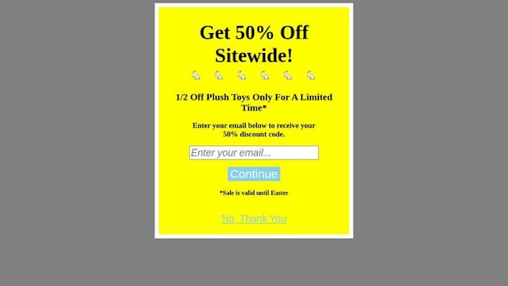 Cover image for Coupon Modal Web Development Project