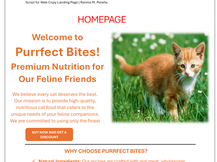 Cover image for LANDING PAGE