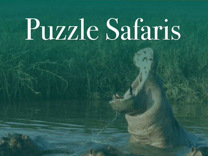 Cover image for Puzzle Safaris