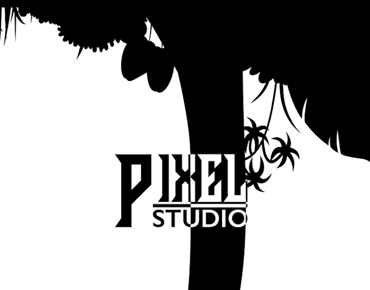 Cover image for Brand identity for PixelStudio