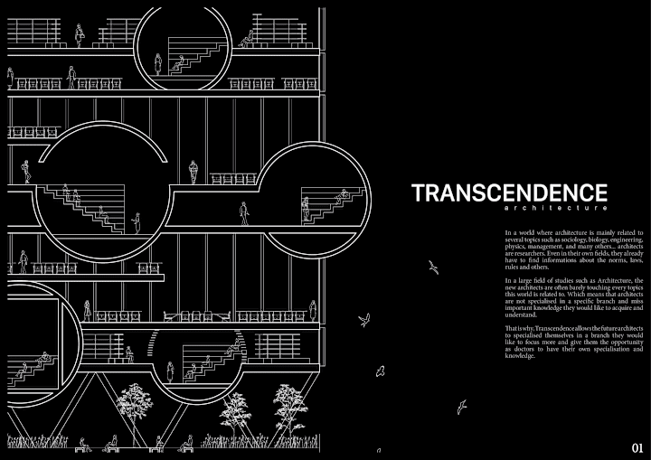 Cover image for TRANSCENDENCE