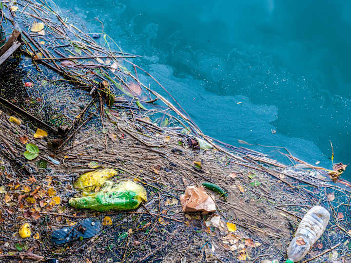 Cover image for Pollution