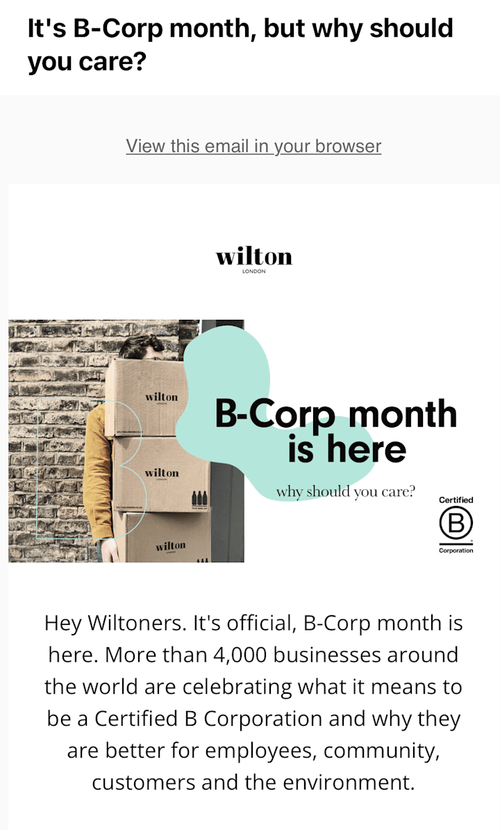 Cover image for Wilton London B-Corp Month Newsletter