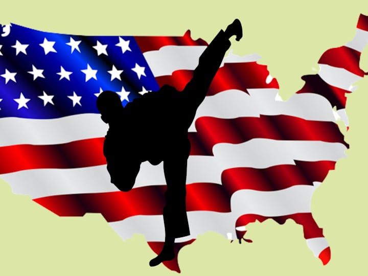 Cover image for NinjaNinja: New American Superhero