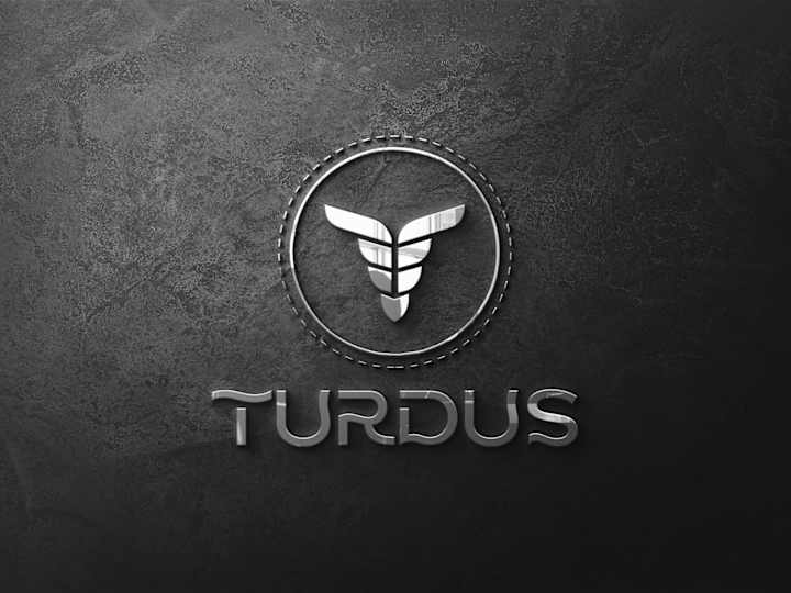 Cover image for TURDUS AIRLINE BRAND IDENTITY