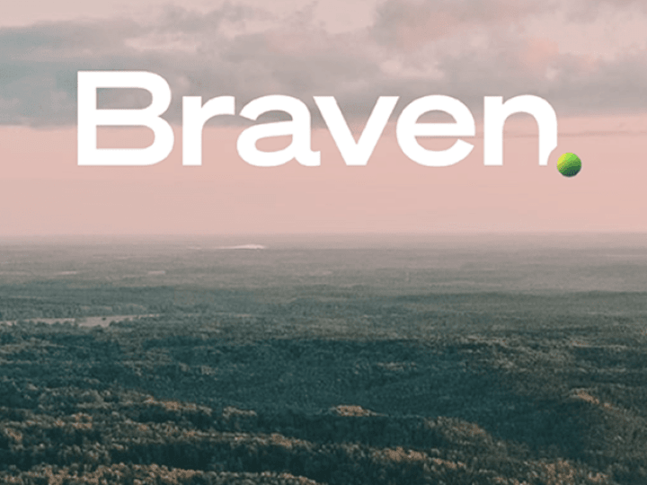 Cover image for Braven Environmental: Campaign Branding + Website