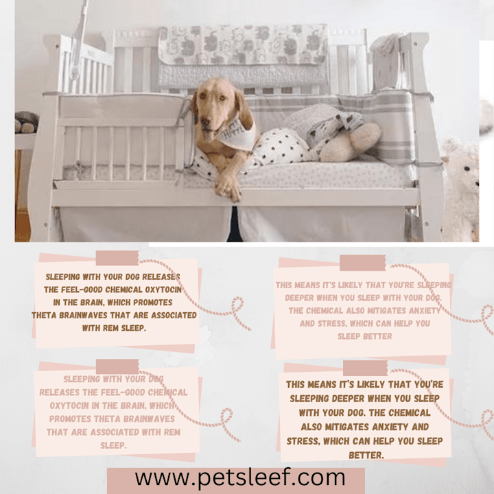 Cover image for professional infographic desin