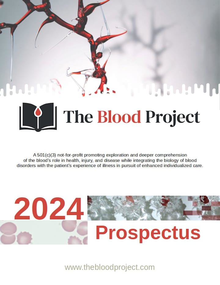 Cover image for The Blood Project Fundraising Prospectus