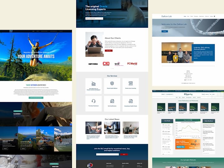 Cover image for WordPress Website Development for Ecommerce , resturents, travel