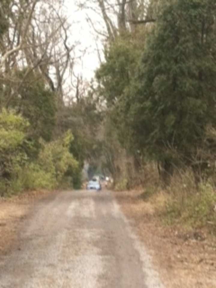 Cover image for A Family Trip to the Christmas Tree Farm - Bucks Happening