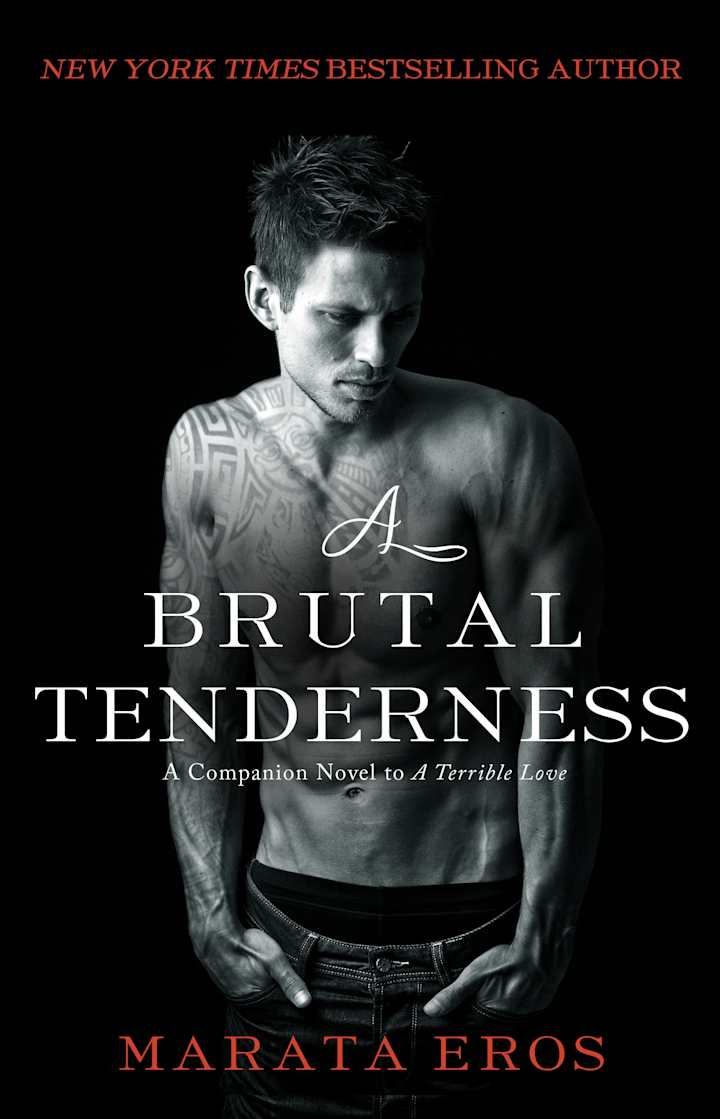 Cover image for Published Novel