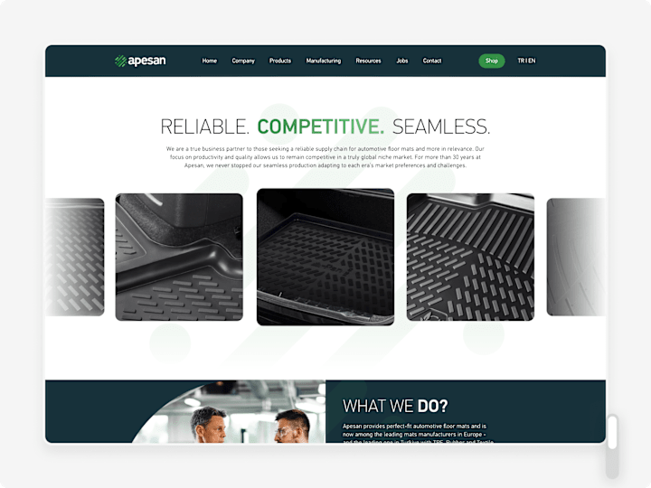 Cover image for Apesan.co Website + Framer Development