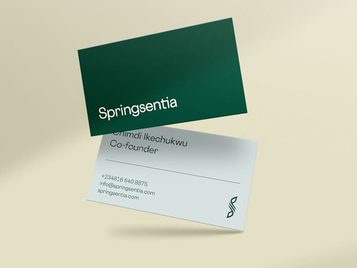 Cover image for Springsentia: Brand Identity Design