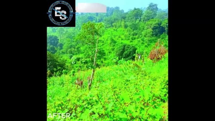 Cover image for I will do high quality video editing