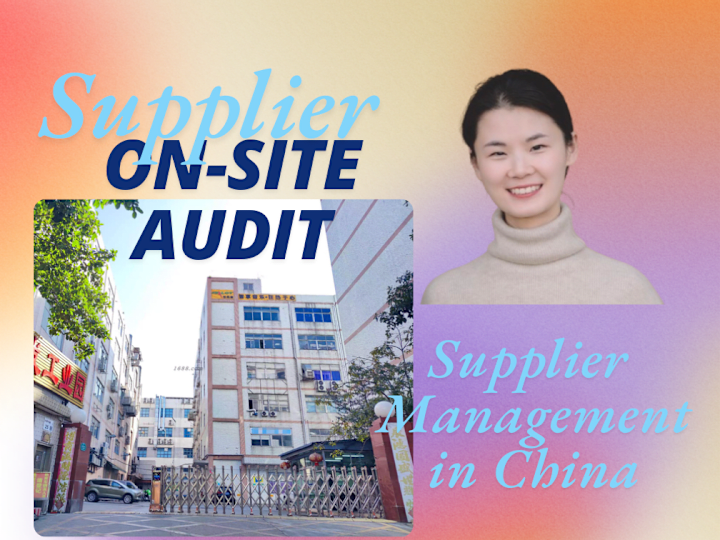 Cover image for Supplier Qualification and Audits in China