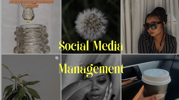 Cover image for Social Media Manager