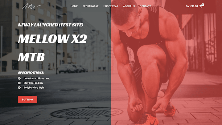 Cover image for Sportswear web store(wordpress & woocommerce)