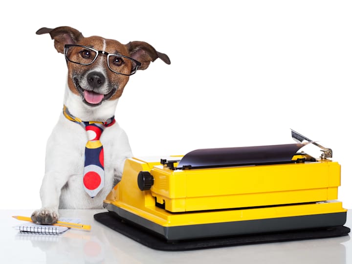 Cover image for The amazing benefits of an external writer - Lisa the Freelancer