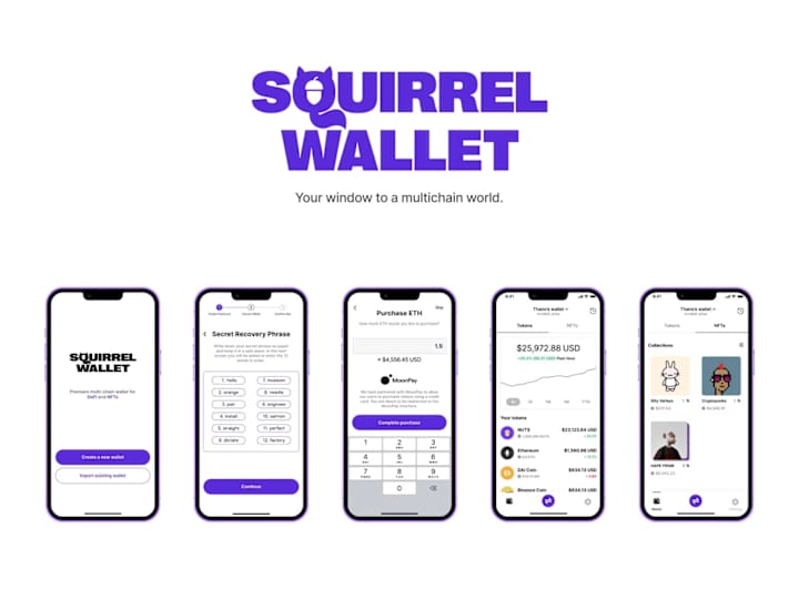 Cover image for Squirrel Wallet 