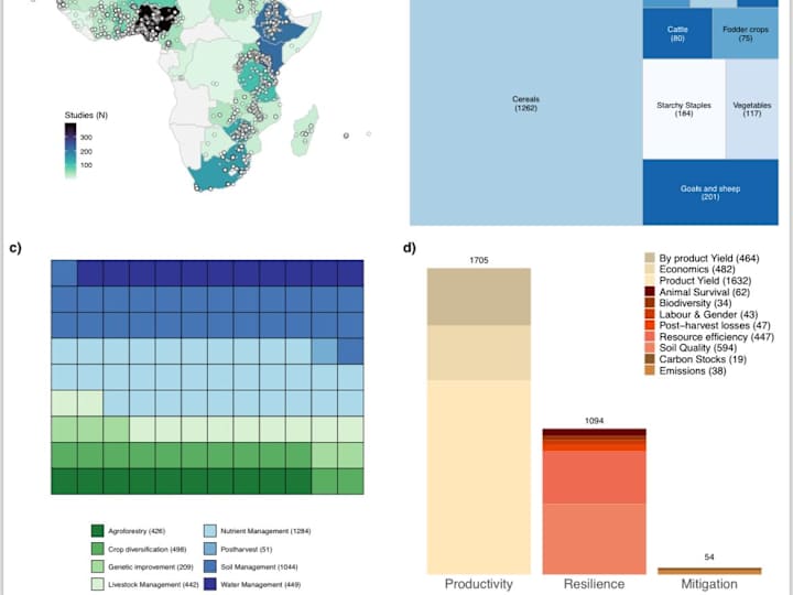 Cover image for Summarize Big data into plots 