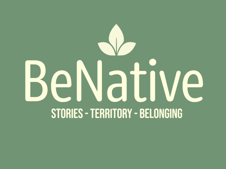 Cover image for BeNative: Presentation Video