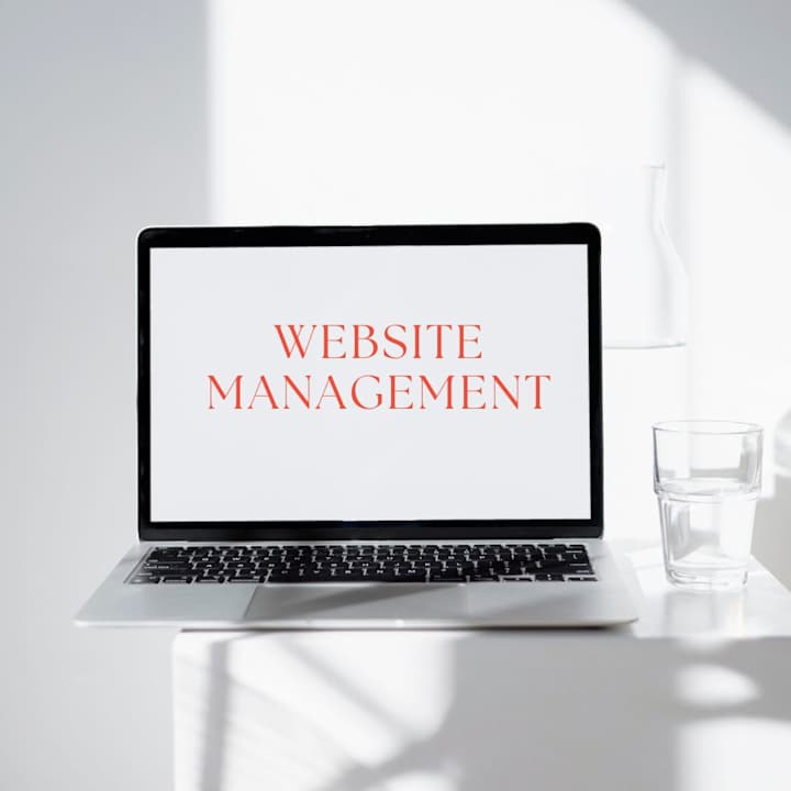 Cover image for Website Management 